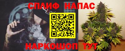 прущие грибы Малоярославец