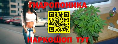 прущие грибы Малоярославец